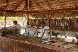 Bayahibe: Catamarantocht naar Saona Island met lunch en drankjes
