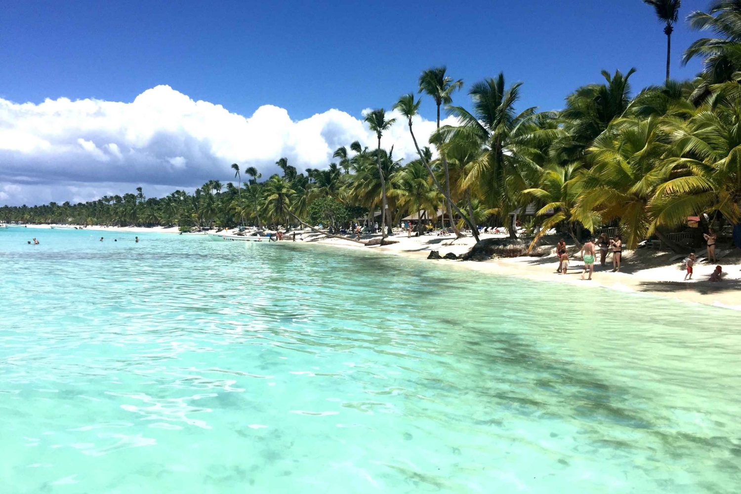 Bayahibe: Saona Island Sailing in catamaran with open bar
