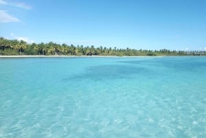 Bayahibe: Saona Island Speedboat Excursion with Lunch