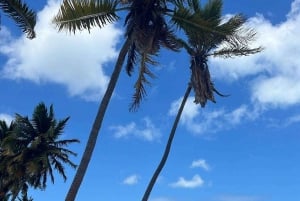 Bayahibe: Saona Island Speedboat Excursion with Lunch
