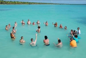 Bayahibe: Saona Island Speedboat Excursion with Lunch