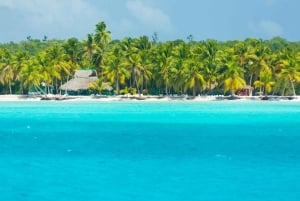 Bayahibe: Saona Island Tour with Lunch and Boat Ride