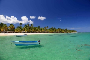 Bayahibe: Saona Island Tour with Lunch and Boat Ride