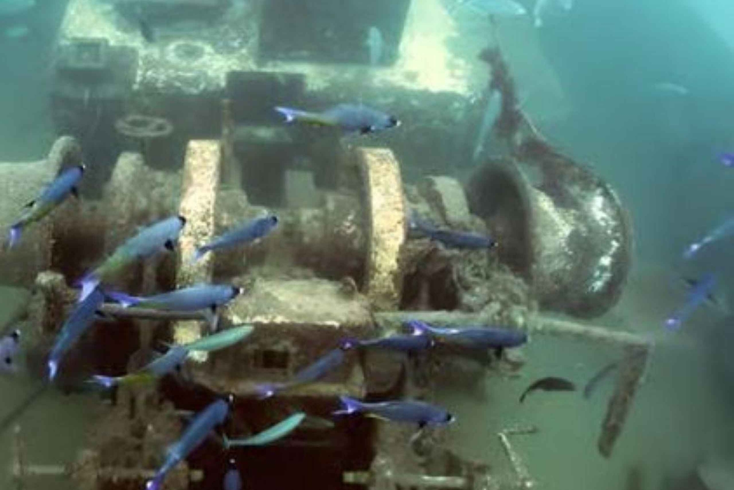 Bayahibe: Semi-Submarine Tour with Snorkeling & Drinks