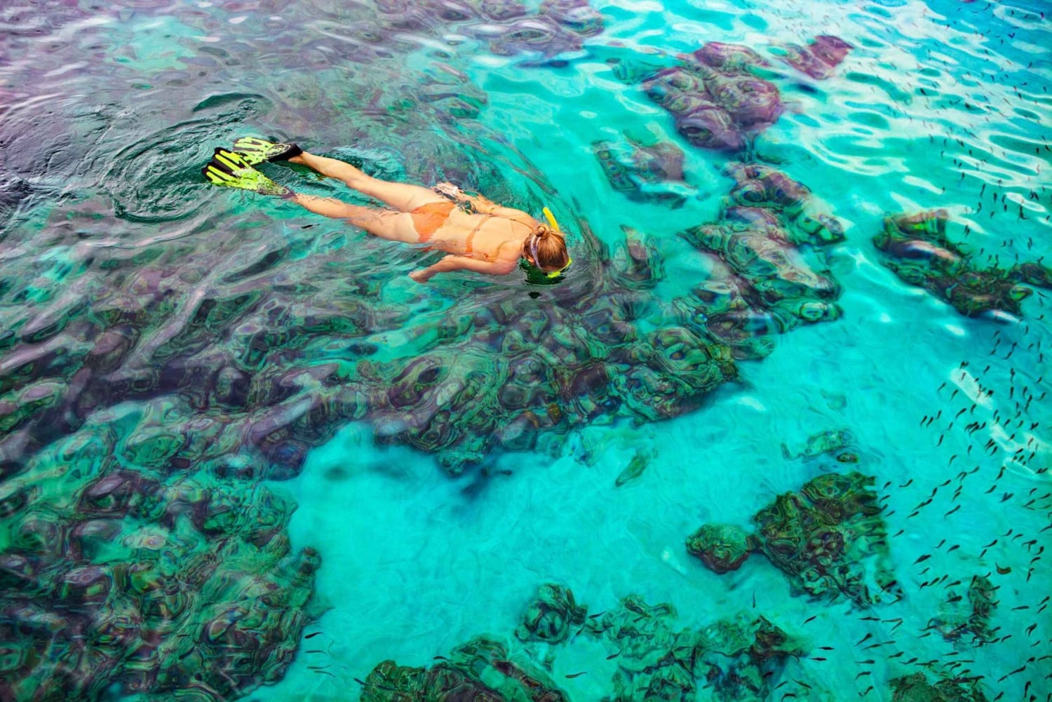 Bayahibe: Snorkeling Tour - Sea, Cotubanama park & Cenotes