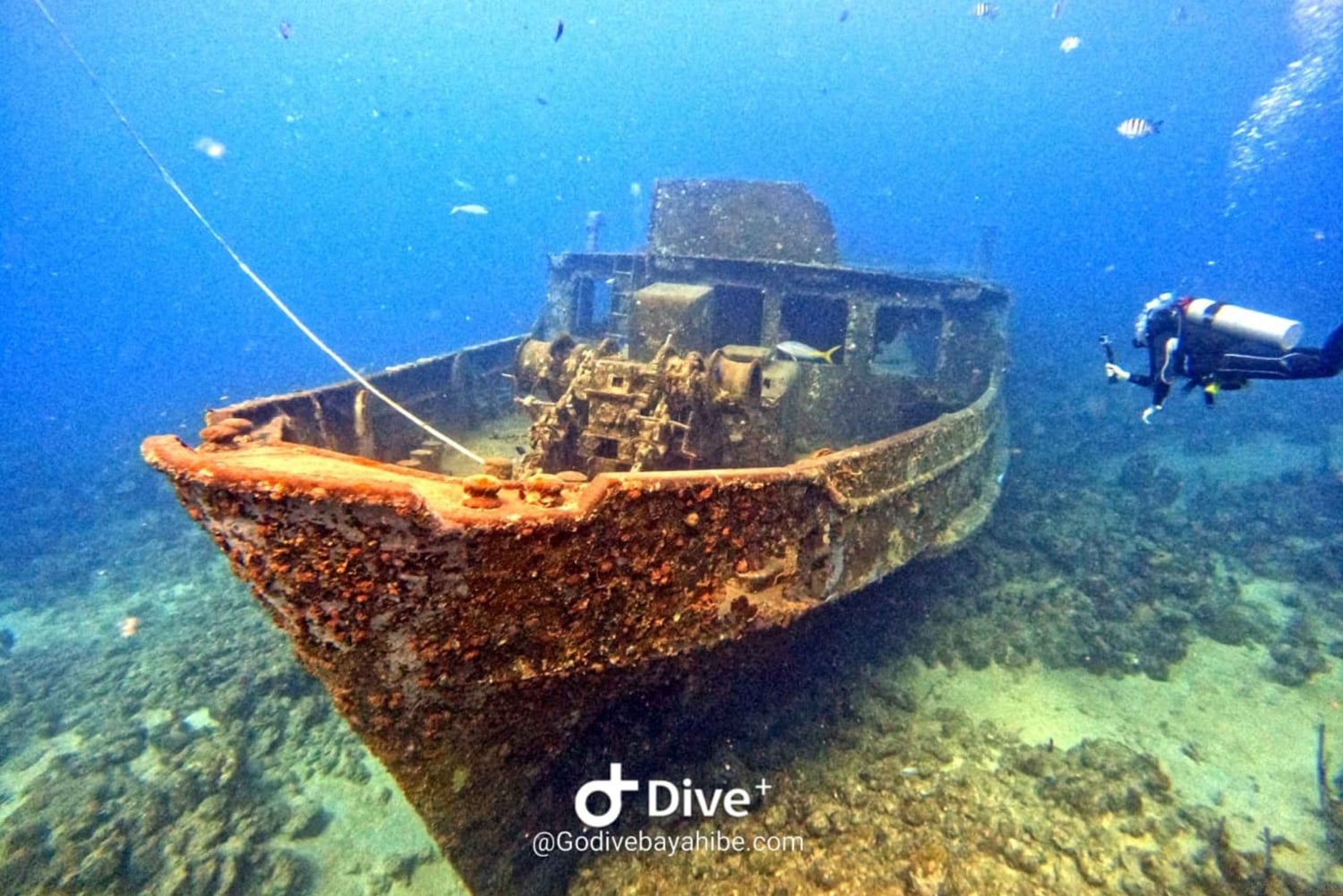 Bayahibe: Snorkeling Tour - Sea, Cotubanama park & Cenotes