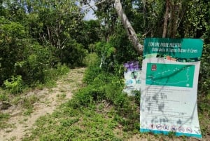 Bayahibe: Excursión de Snorkel - Mar, Parque Cotubanama y Cenotes