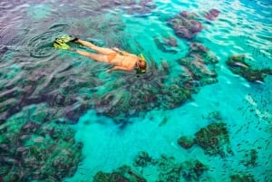 Bayahibe: Snorkeling Tour - Sea, Cotubanama park & Cenotes
