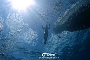 Bayahibe: Snorkeling Tour - Sea, Cotubanama park & Cenotes