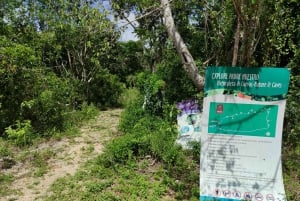 Bayahibe: Snorkeling Tour - Sea, Cotubanama park & Cenotes