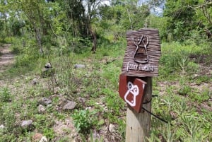 Bayahibe: Snorkeling Tour - Sea, Cotubanama park & Cenotes