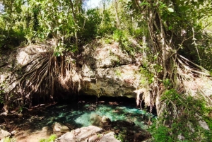 Bayahibe: Snorkeling Tour - Sea, Cotubanama park & Cenotes