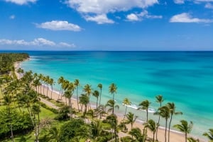 Bayahibe: Cruise på hvalsafari og dagstur til Cayo Levantado