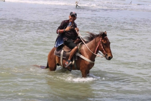 Strand paardrijden en platteland