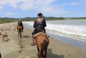 Passeggiata a cavallo sulla spiaggia con campagna