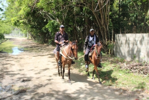 Passeggiata a cavallo sulla spiaggia con campagna