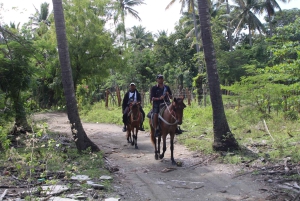 Passeggiata a cavallo sulla spiaggia con campagna