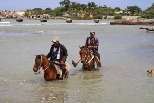 Passeggiata a cavallo sulla spiaggia con campagna