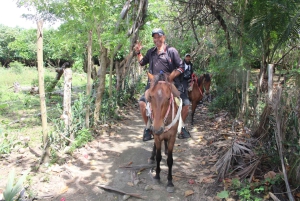 Passeggiata a cavallo sulla spiaggia con campagna
