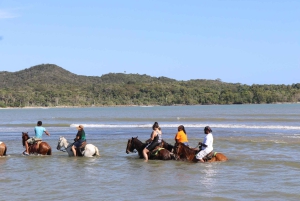 Passeggiata a cavallo sulla spiaggia con campagna