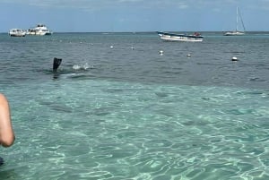 Tour in barca a vela all'Isla Catalina da La Romana