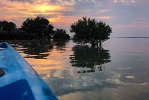 Boca Chica : Los Haitises guidet fottur og kajakkpadling