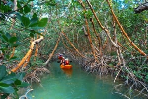 Boca Chica : Los Haitises guidet fottur og kajakkpadling