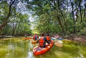 Boca Chica : Los Haitises Guidad vandring och kajakpaddling