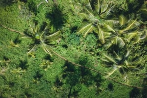 Boca Chica: escursione guidata e kayak a Los Haitises