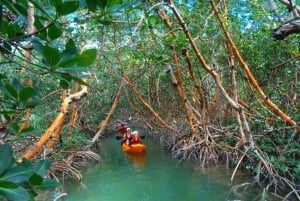Boca Chica : Los Haitises Guided Hike and Kayaking