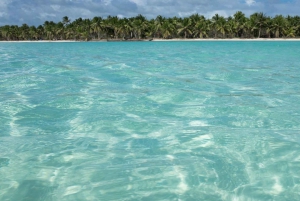 Boca Chica: Saona Island Full-Day Tour with Catamaran Ride