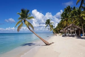 Boca Chica: Saona Island Full-Day Tour with Catamaran Ride