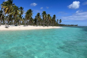 Boca Chica: Saona Island Full-Day Tour with Lunch