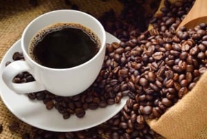 Besuch in Boca de Yuma - Dominikanisches Kulturimmersion