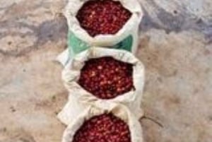 Visita Boca de Yuma - Immersione culturale dominicana