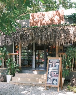 Bodega Bonita