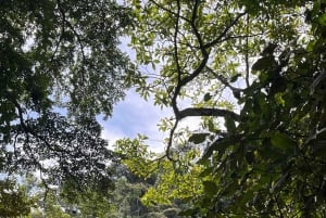 Bonao: Hike to Hidden Tropical Waterfalls with Locals