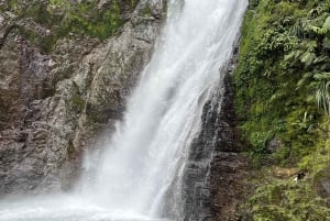Bonao: Hike to Hidden Tropical Waterfalls with Locals