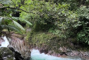 Bonao: Hike to Hidden Tropical Waterfalls with Locals