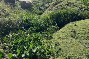 Bonao: Hike to Hidden Tropical Waterfalls with Locals