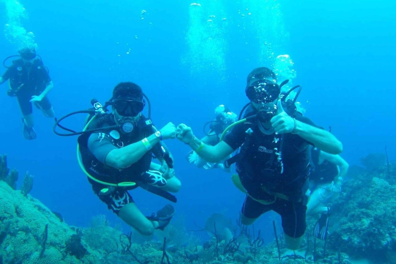 diving catalina island from punta cana