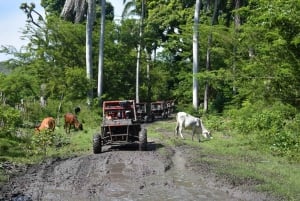Buggy-äventyr i Puerto Plata