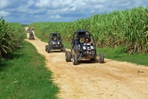 Buggy bij zonsondergang - Hele dag - Kleine groep