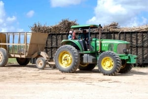 Buggy bij zonsondergang - Hele dag - Kleine groep