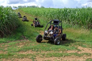 Buggy sunset - Full day - Small group
