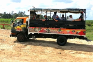 Buggy sunset - Full day - Small group