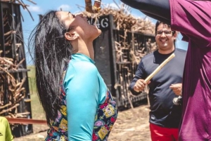 Buggy sunset - Full day - Small group