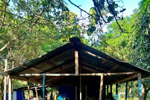 Buggy sunset - Full day - Small group