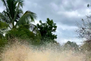 Buggy sunset - Full day - Small group