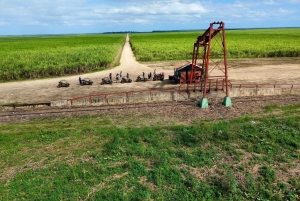 Buggy sunset - Full day - Small group